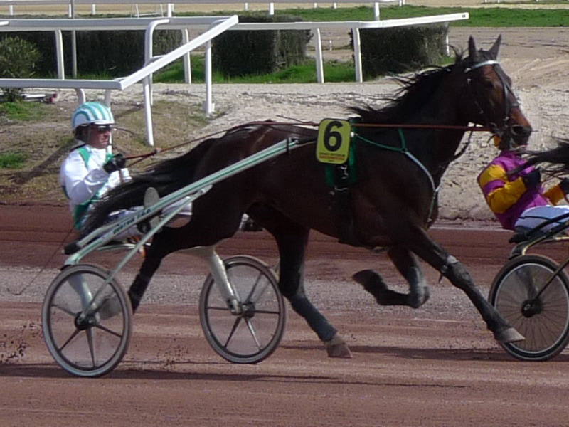 trotteur 2